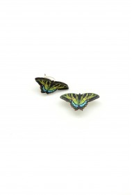 Swallowtail Butterfly Studs